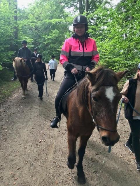 Dyrlundgaard Tilbyder Charmerende Ferielejlighed. Helsinge Bagian luar foto